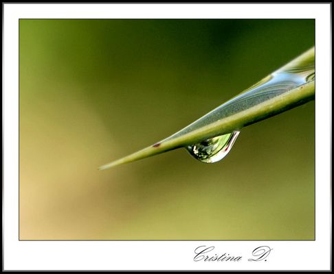 Parole come spine_ lacrime