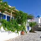 Paros Parika