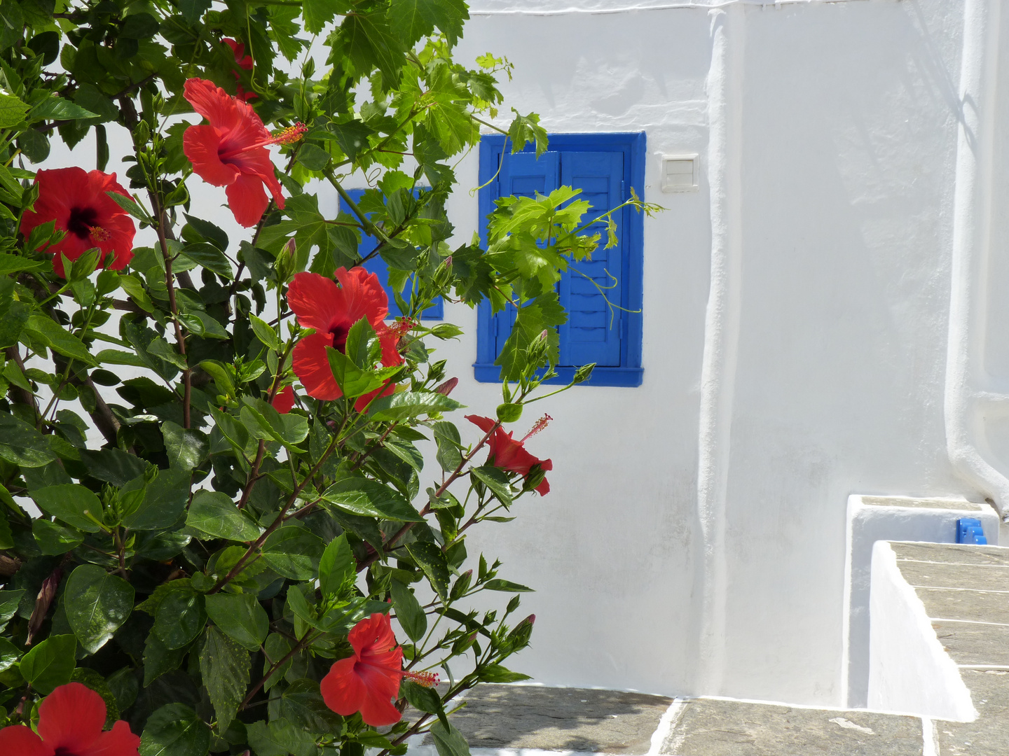 paros1