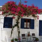 Paros2