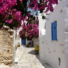 Paros4