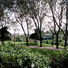 Parque