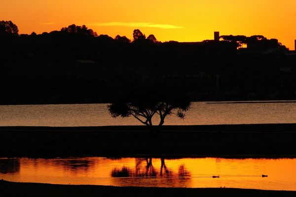Parque Barigui - Curitiba - Brasil