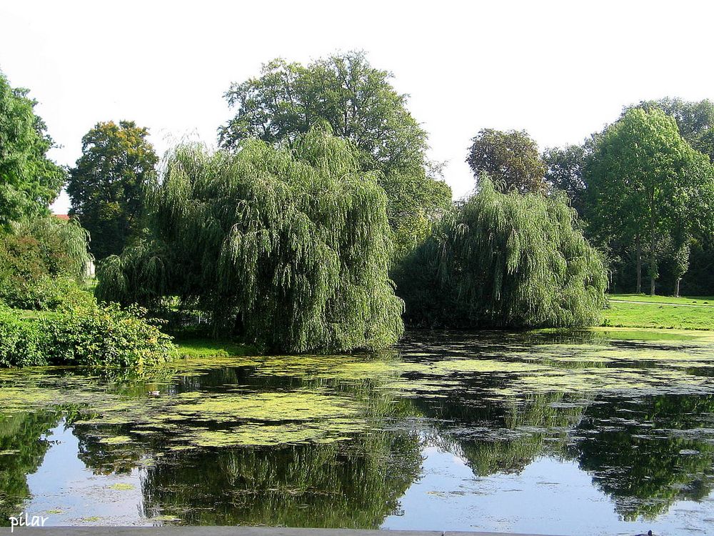 PARQUE BERLINES