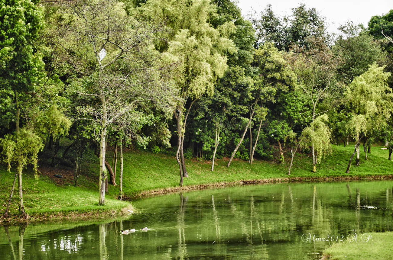 Parque Bogotano