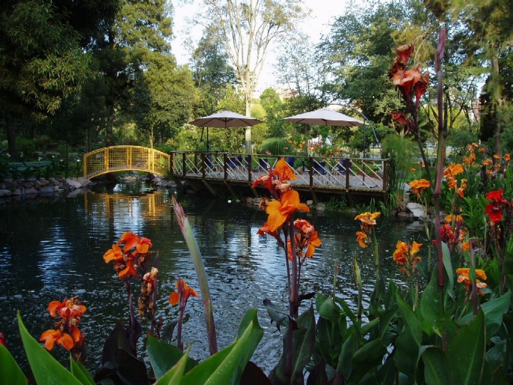 parque botanico de quito