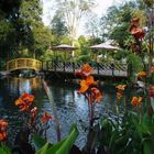 parque botanico de quito