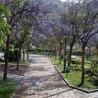 parque con encanto