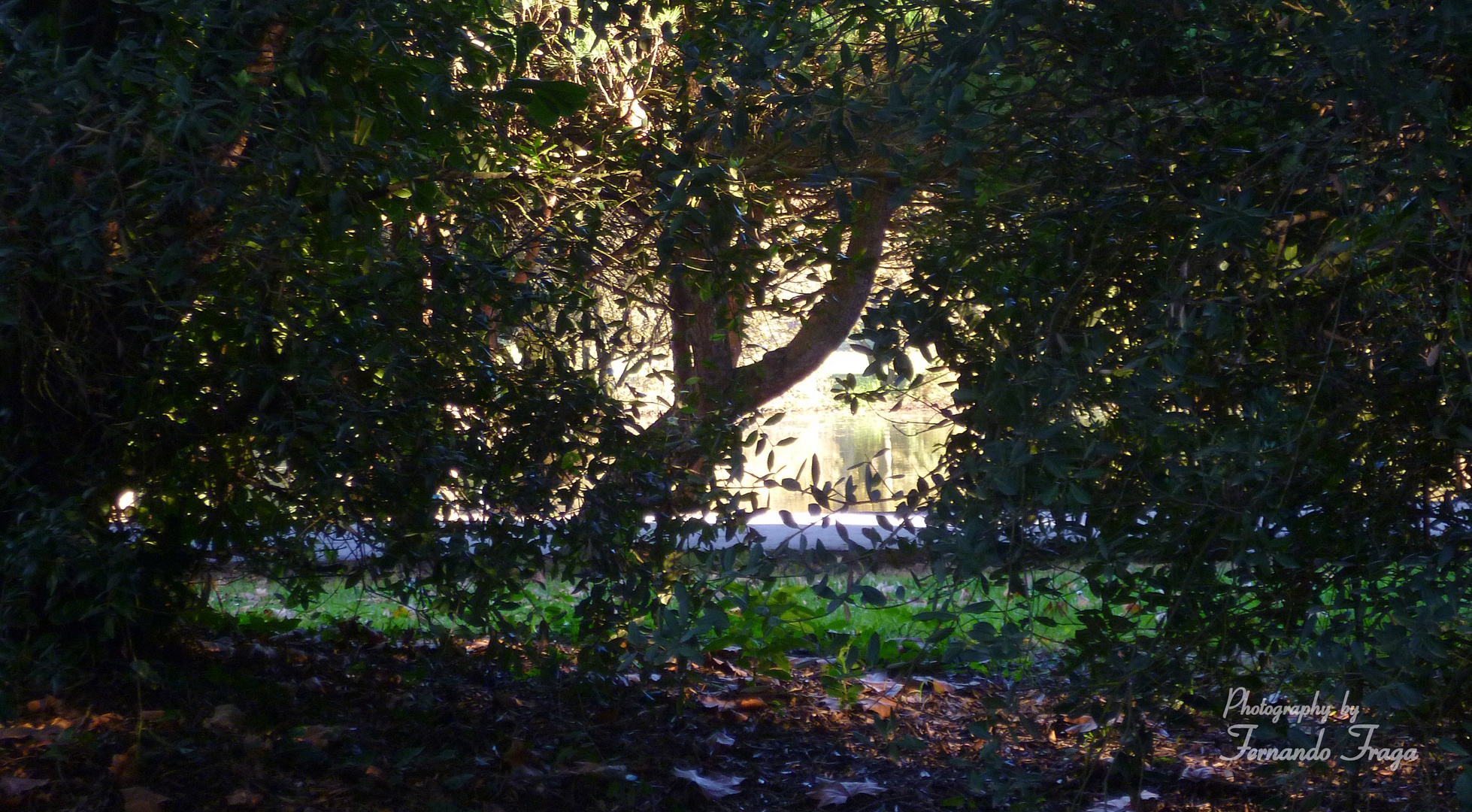 Parque da Cidade do Porto