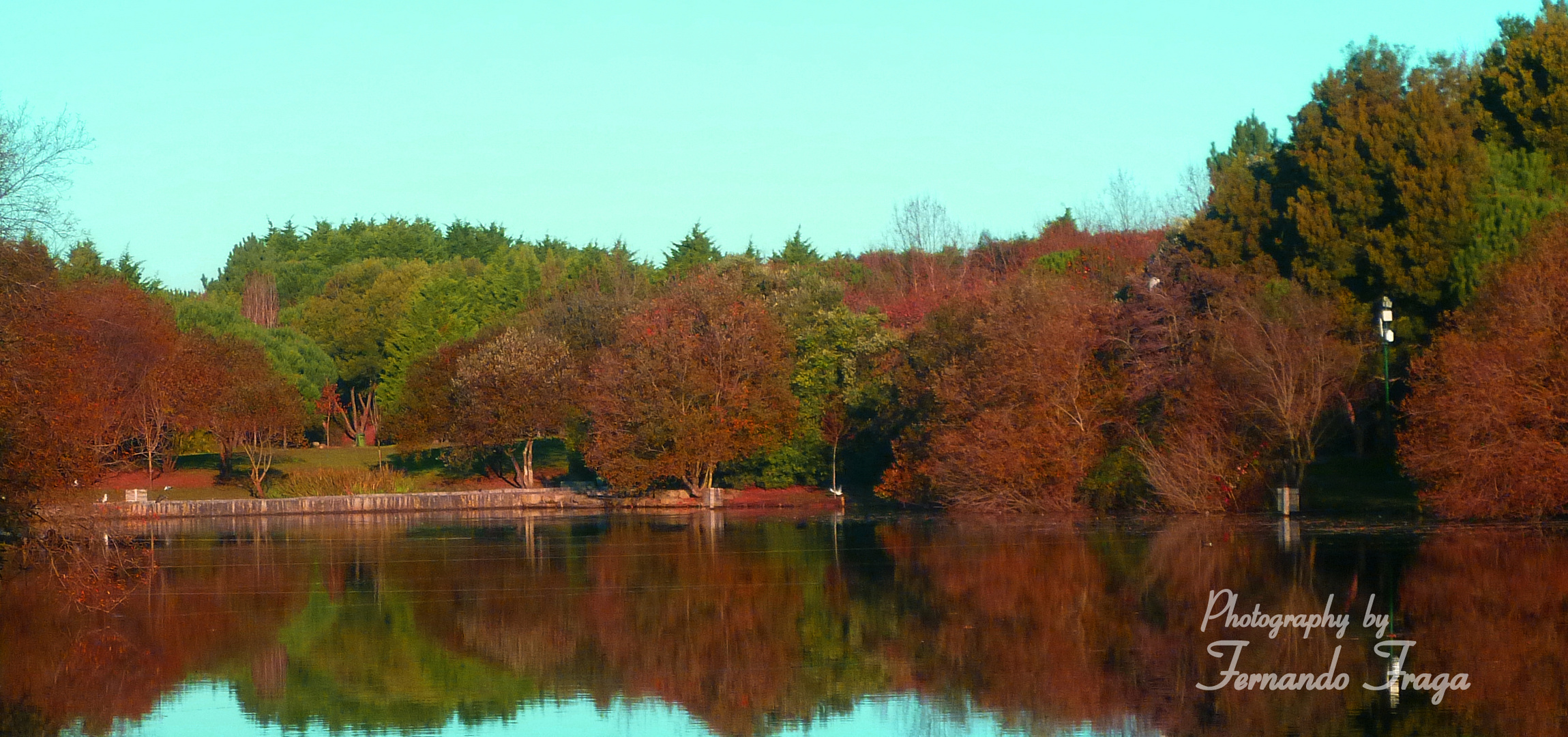 Parque da cidade do Porto