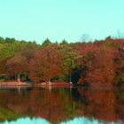 Parque da cidade do Porto