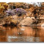 Parque de Agua Vermelho V