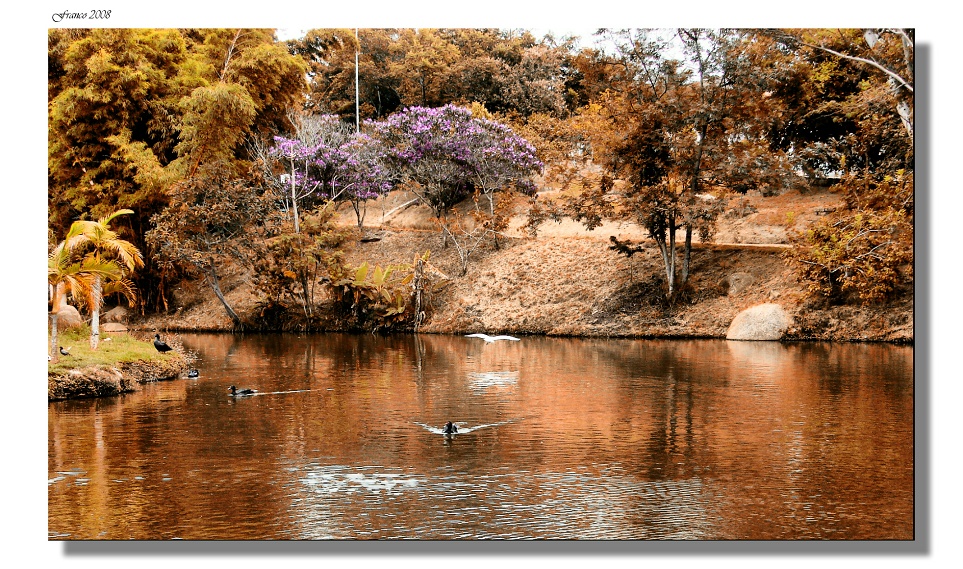 Parque de Agua Vermelho V