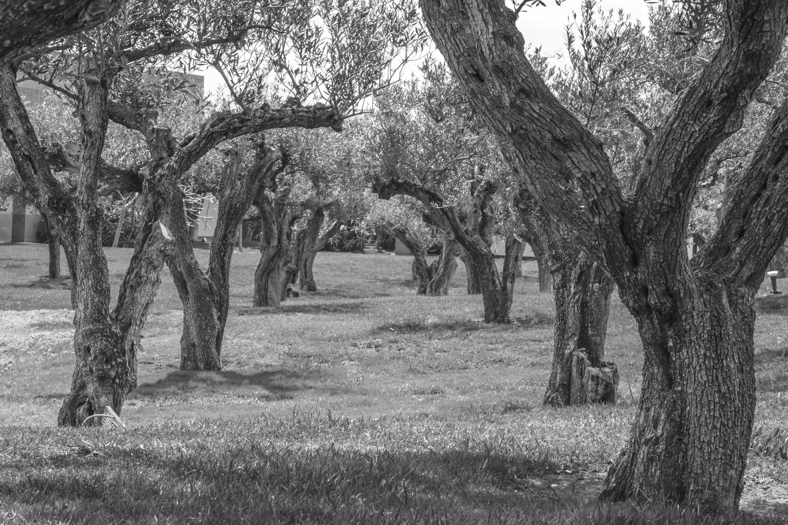 PARQUE DE LA ANCIANIDAD