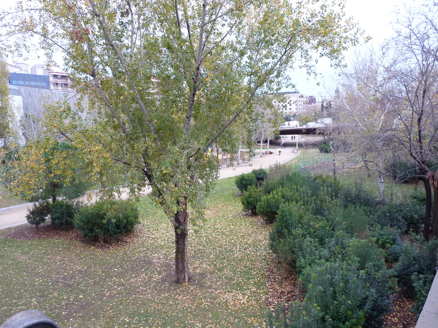 Parque de la Estaciòn del Norte. Barcelona. Diciembre del 2009.