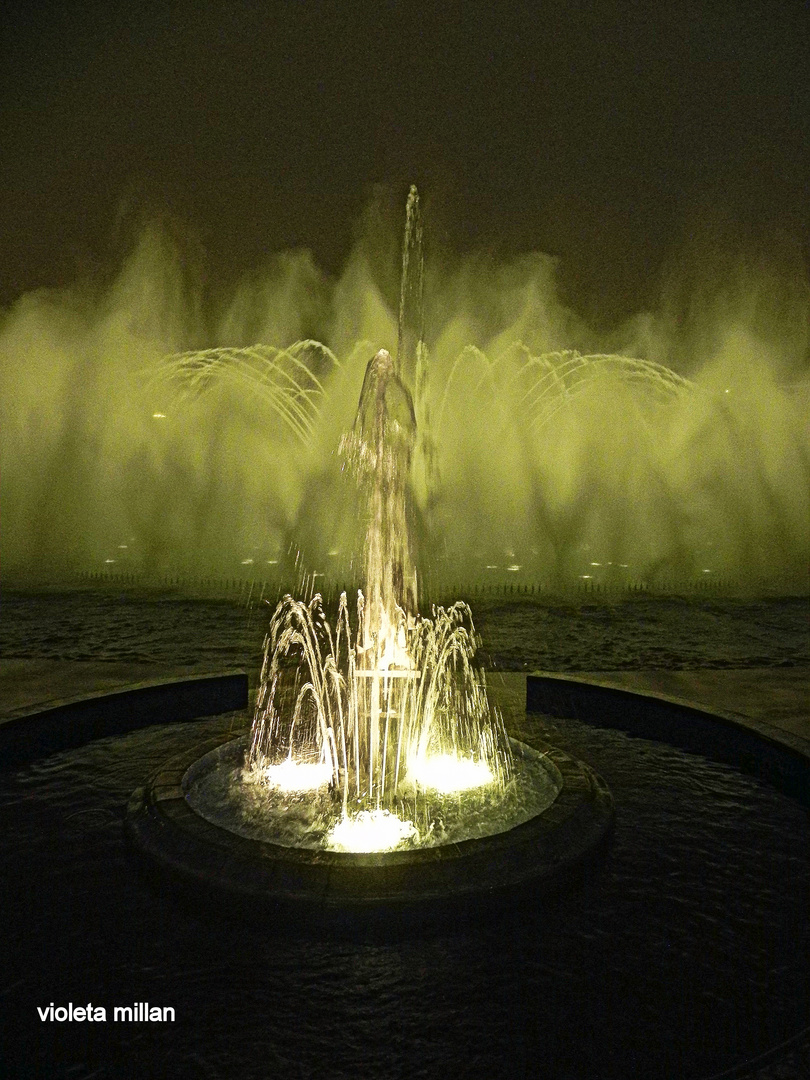 PARQUE DE LAS FUENTES DE AGUA,UN LUGAR SOÑADOVI