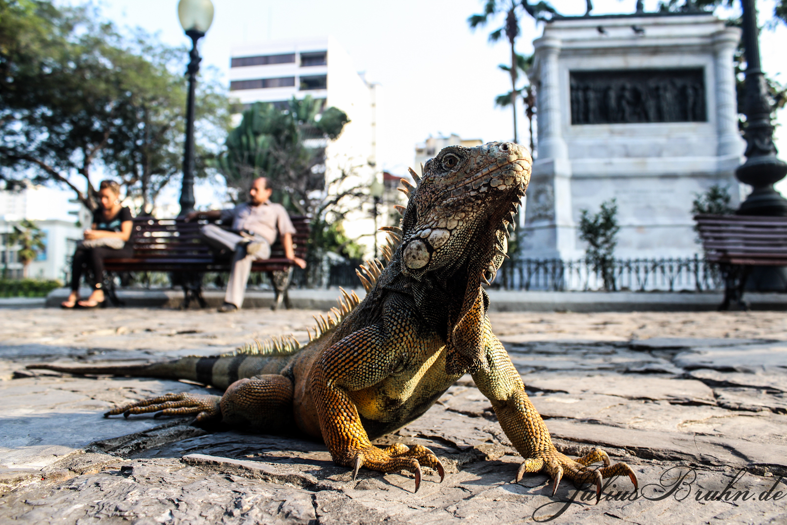 Parque de las Iguanas, Guayaquil