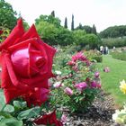 Parque de las rosas (Barcelona)