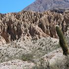 Parque de Los Cardones