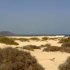 Parque de los Dunas, Corralejo