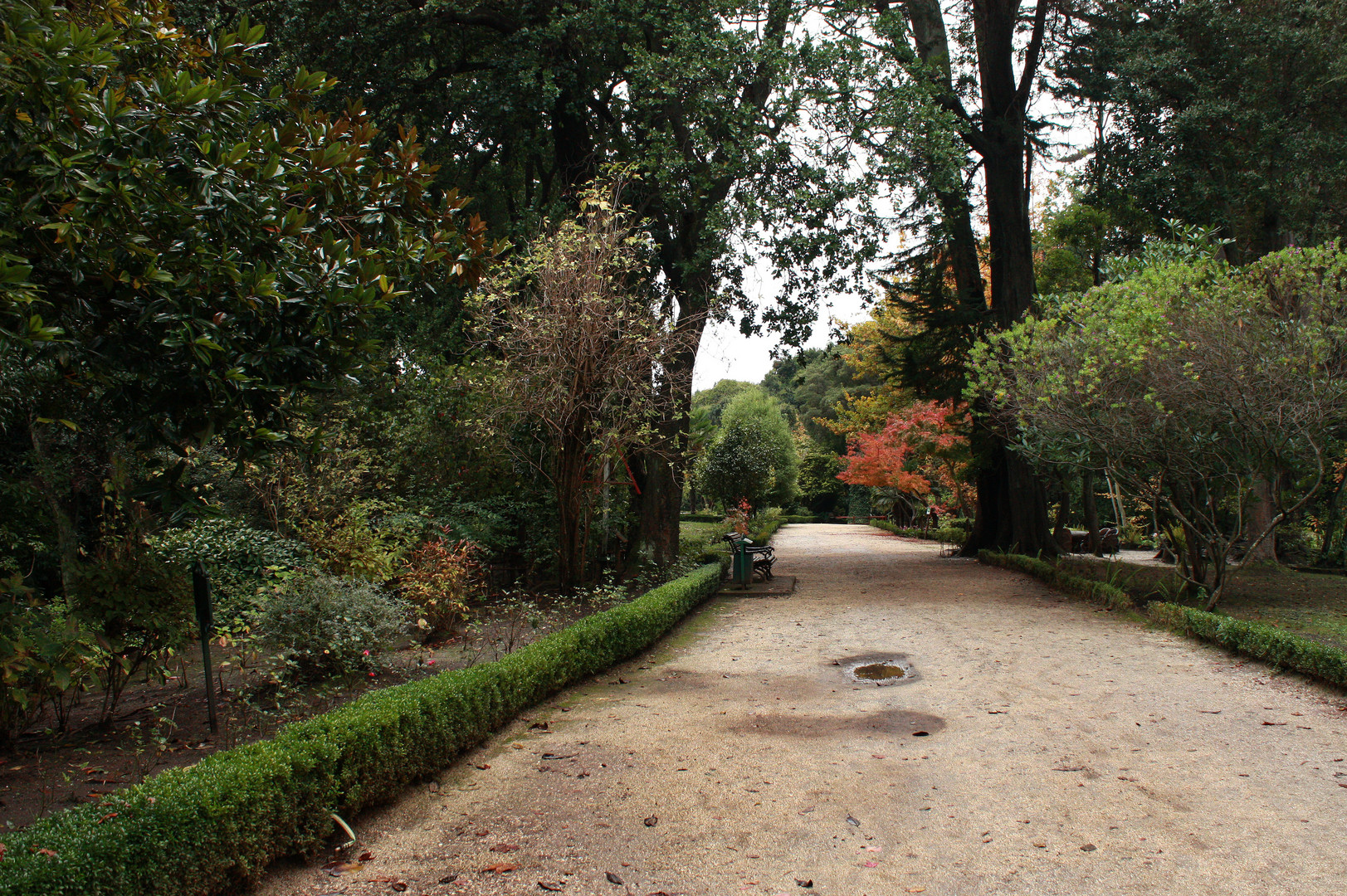 Parque de Lota I