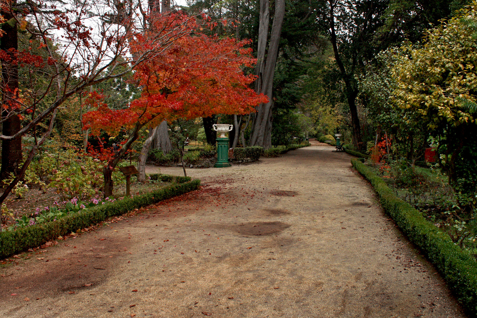 Parque de Lota IV