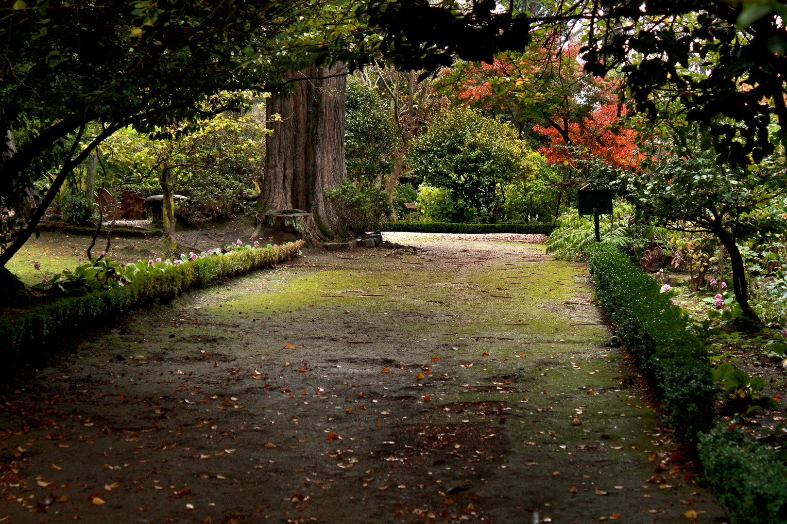 Parque de Lota V