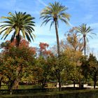 PARQUE DE MARIA LUISA-SEVILLA