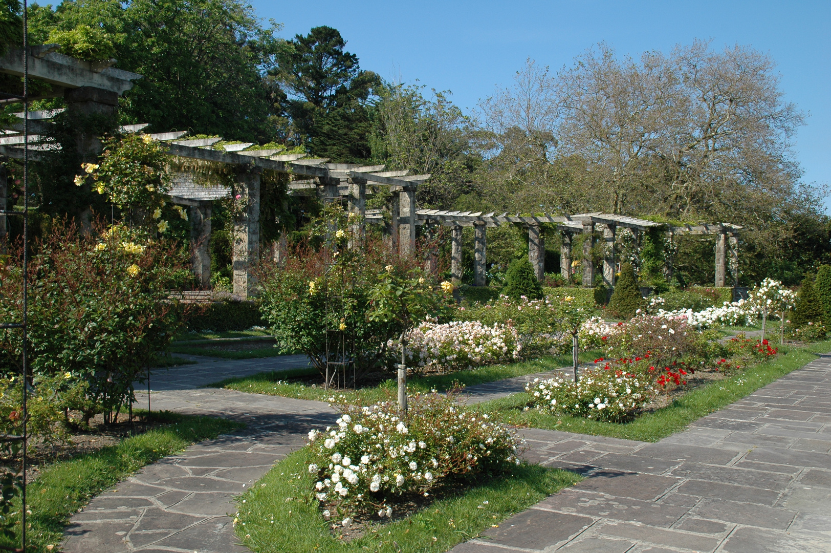 Parque de Mataleñas