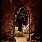 Parque de Monserrate bei Sintra (Portugal) (2)