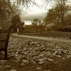 PARQUE DE SANT JAMES, LONDRES