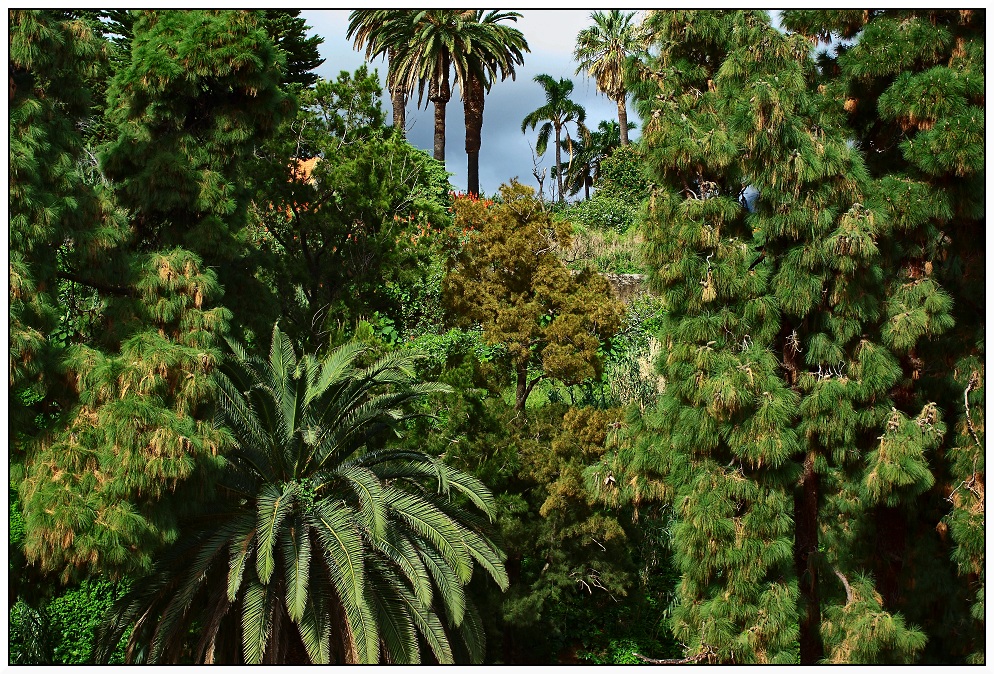 Parque de Santa Catarina, Funchal