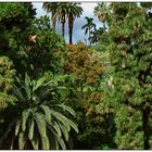 Parque de Santa Catarina, Funchal