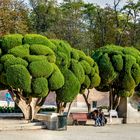 Parque del Buen Retiro