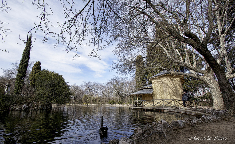 ...Parque del Capricho 6...