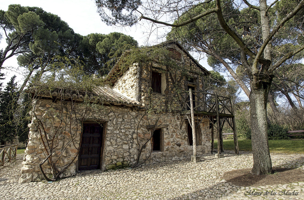 ...Parque del Capricho 8...