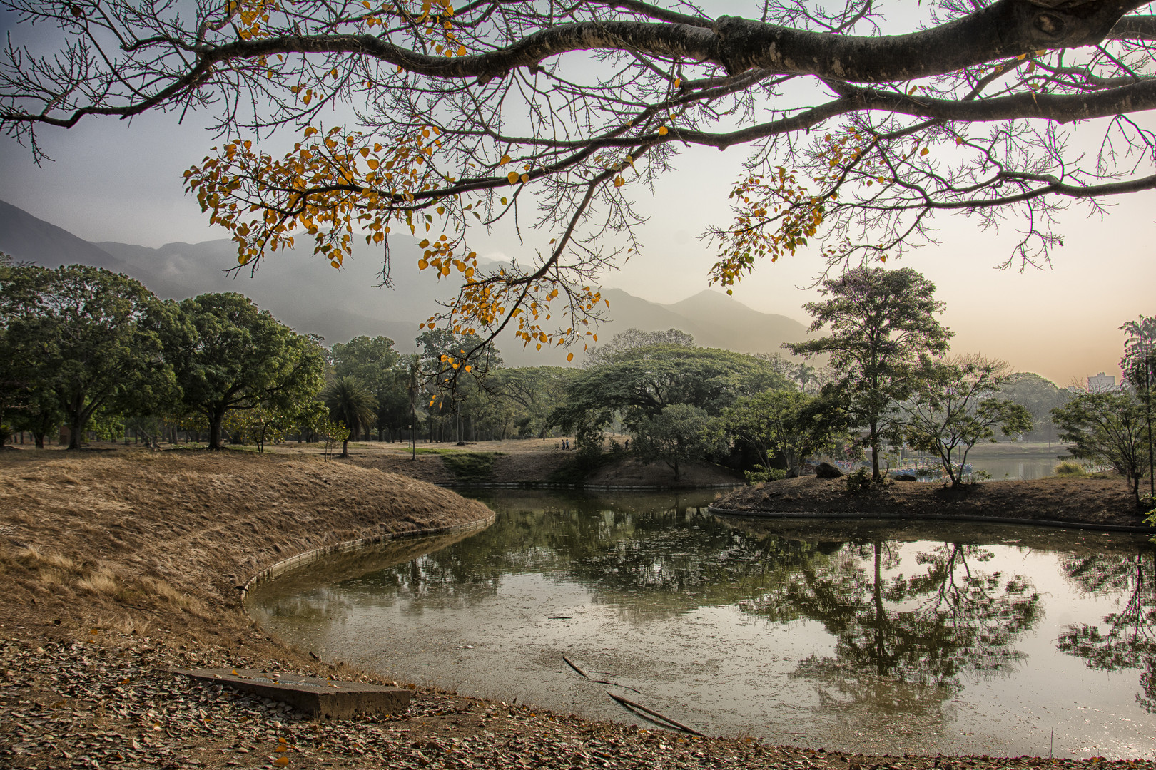 parque del este. caracas