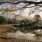 parque del este. caracas