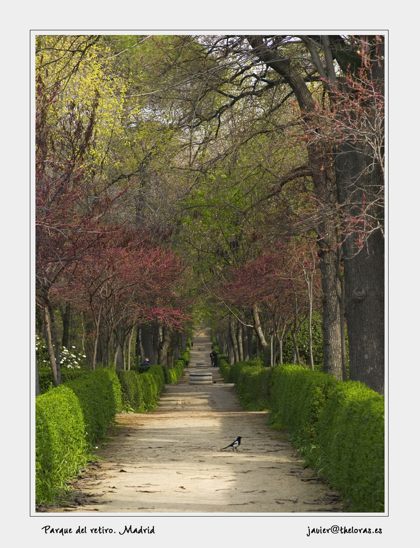 Parque del retiro