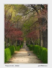 Parque del retiro