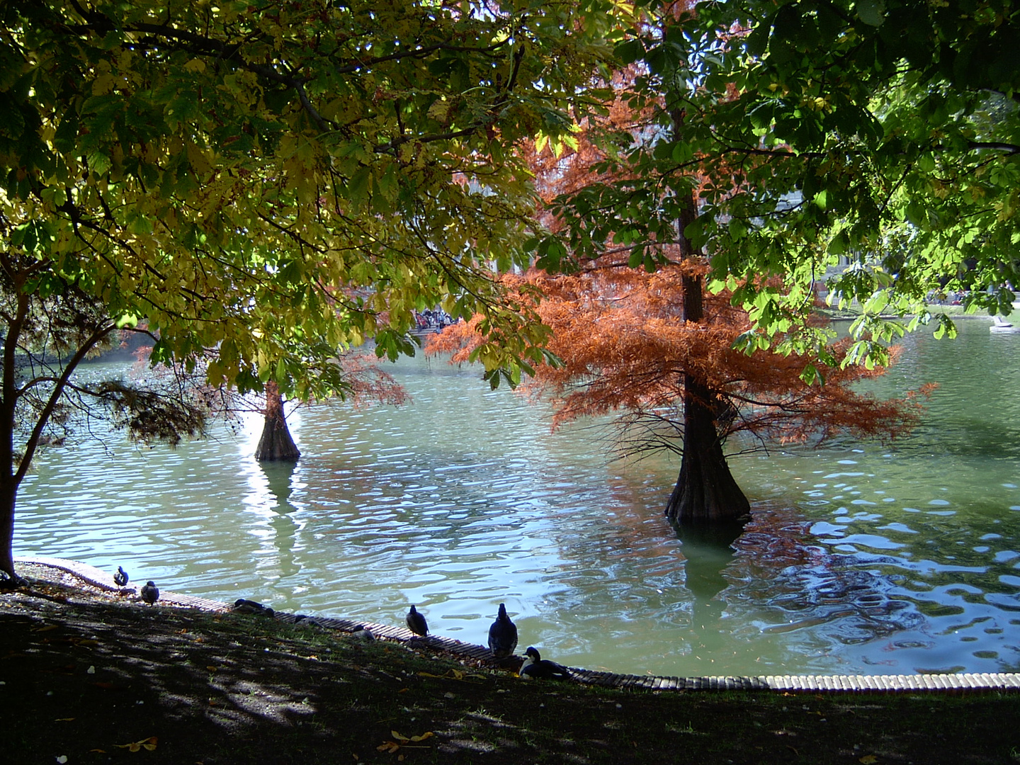 Parque del Retiro (Madrid)