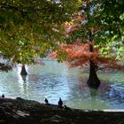 Parque del Retiro (Madrid)