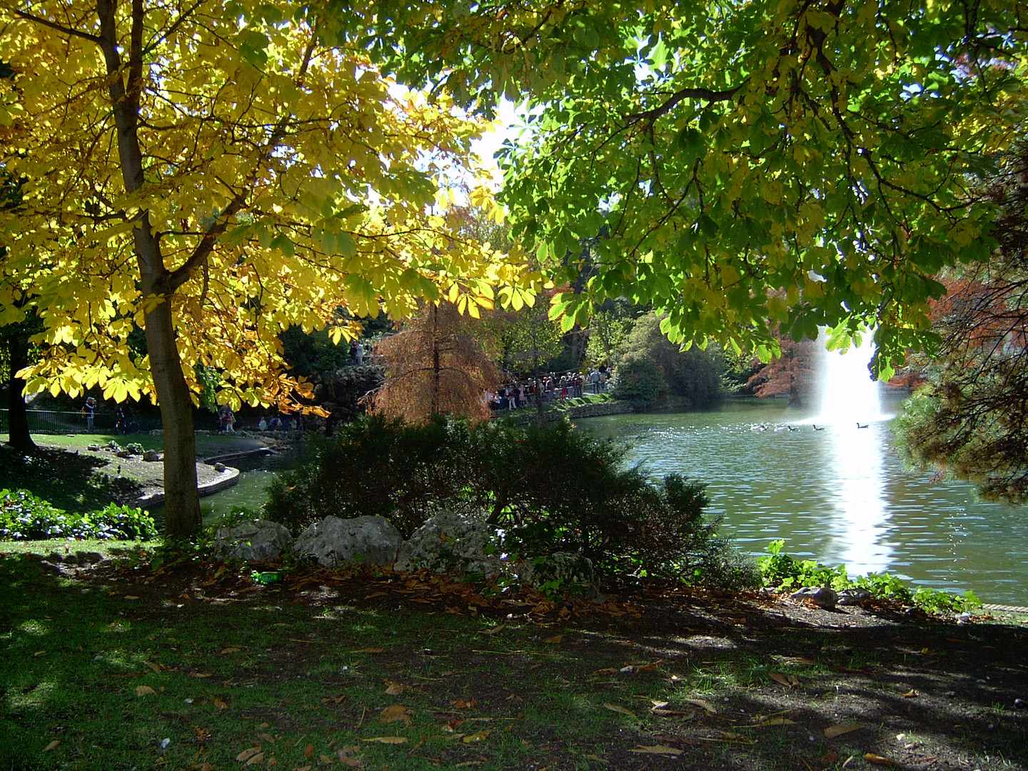 Parque del Retiro (Madrid)