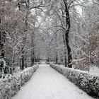 Parque del Retiro nevado (Madrid)