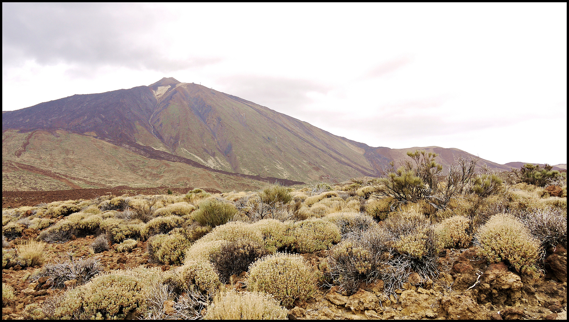 Parque del Teide