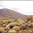 Parque del Teide