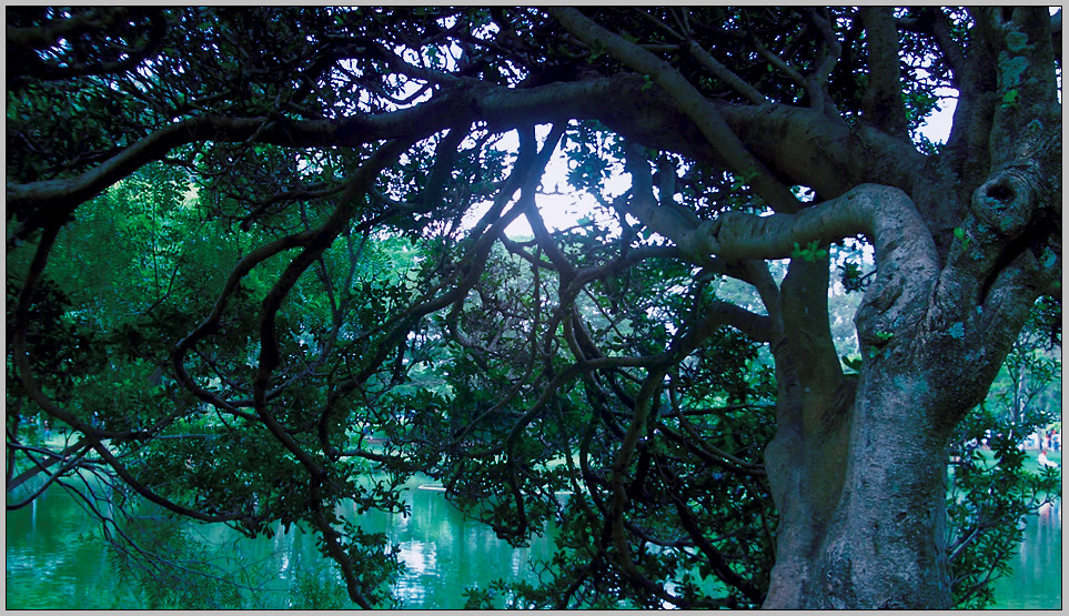 Parque do Ibirapuera | Sao Paulo | 2006