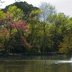 Parque El Capricho (Madrid)