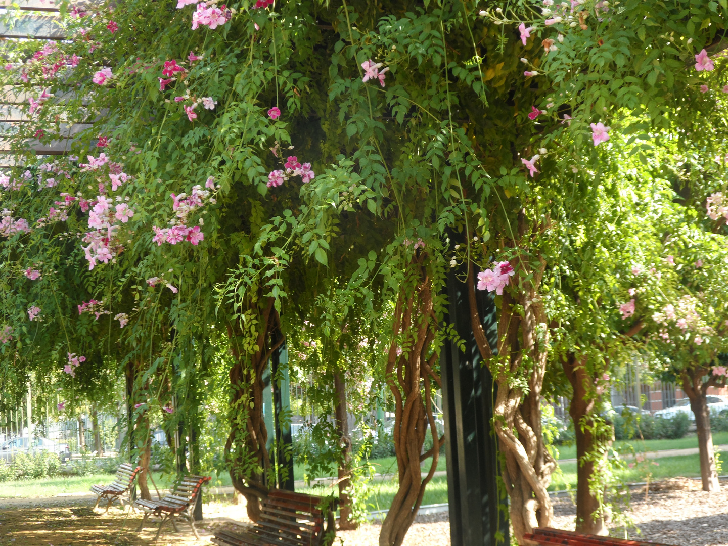 parque en Sevilla