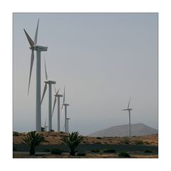 Parque Eólico de Lanzarote